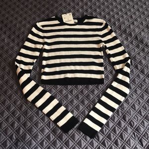 NWT Zara Crop Top